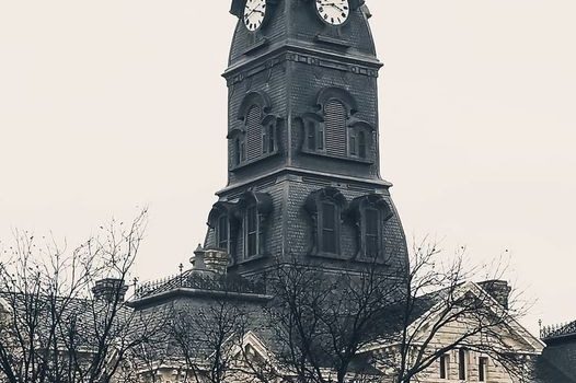 Bats in the Belfry…